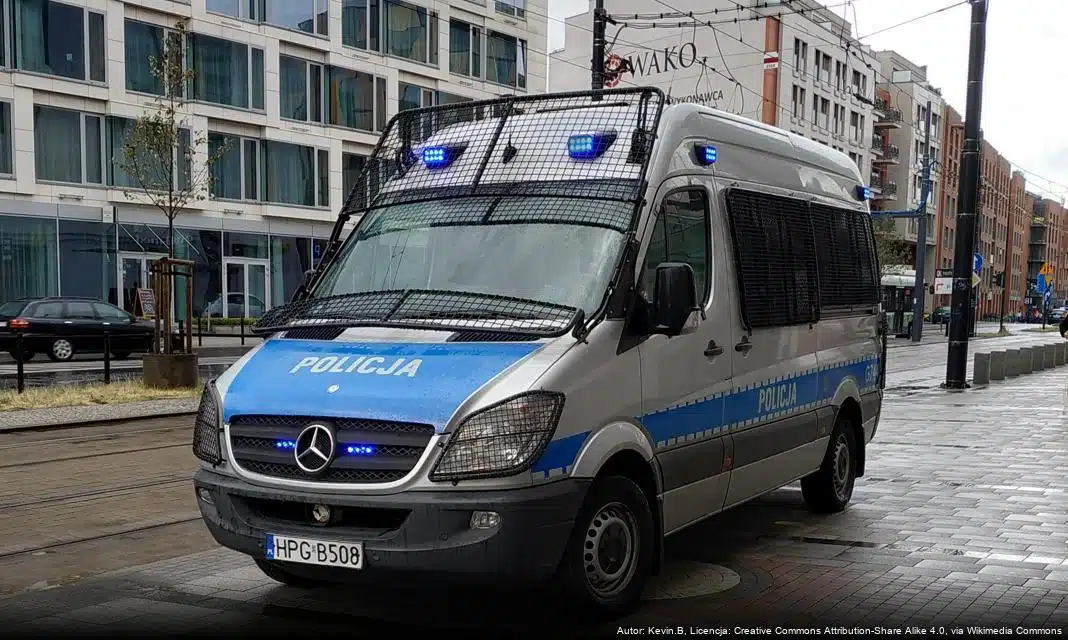 Zasady bezpiecznego stosowania fajerwerków w okresie sylwestrowo-noworocznym