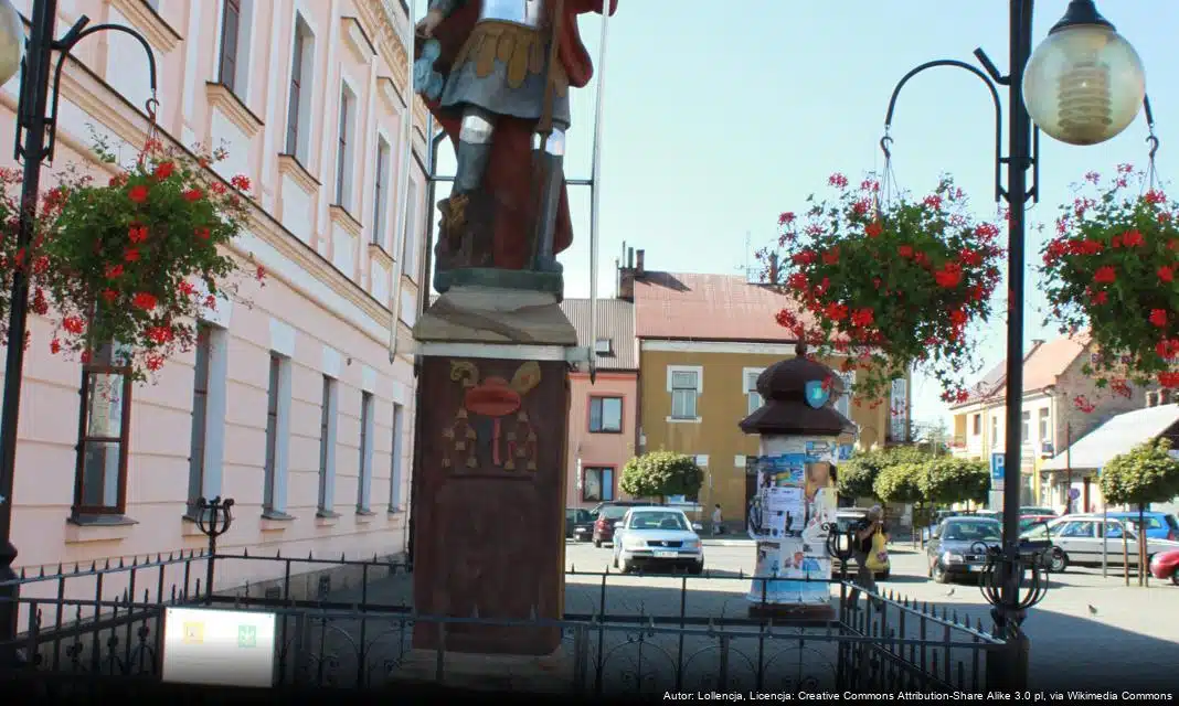 Otwarte spotkania konsultacyjne dotyczące LSR w Tuchowie